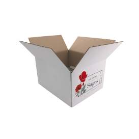  Carton d'expédition blanc 6 Bourgogne HT 164 2X3 double cannelure