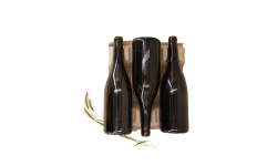 Alvéole avec repose col en cellulose moulée (Bourgogne)