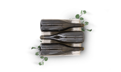 Alvéole double face en cellulose moulée (Bourgogne)