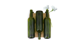 Alvéole sans repose col en cellulose moulée (Bordeaux)