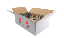 Carton d'expédition blanc 12 Bordeaux HT 152 2X6 simple cannelure