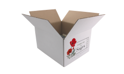  Carton d'expédition blanc 6 Bourgogne HT 164 2X3 double cannelure