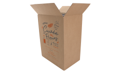 Carton d'expédition 6 Bordeaux HT 300 DT Manut