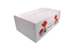 Caisse carton blanc double cannelure 490x300x165mm